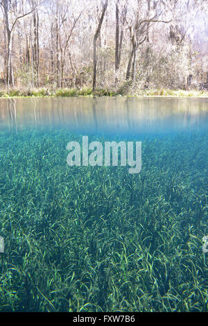 Trou Bleu Printemps - une durée de Banque D'Images
