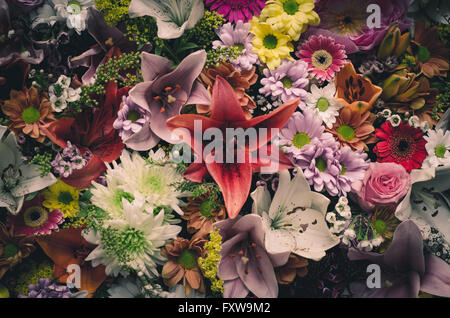 Fleurs colorées sombres wall background Banque D'Images