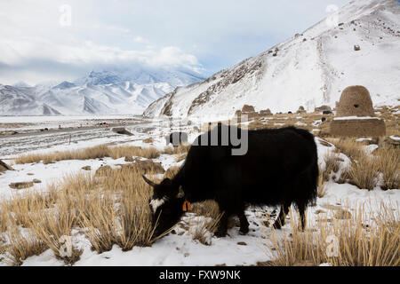 Compte tenu de l'hiver au Mustagh Ata à la Montagne Lac Karakul Pamir, dans la préfecture autonome Kirghiz Kizilsu, Xinjiang, Chine Banque D'Images