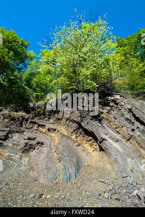 Rock face en carrière à Borghagen à Usseln, district de Medebach dans le Hochsauerland Banque D'Images