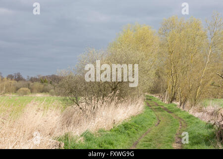 Piste sur le sentier du Marais Beccles Suffolk, Angleterre, RU Banque D'Images