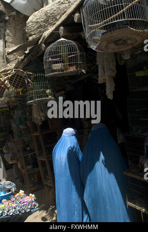 Les femmes portant la burqa shop pour les oiseaux dans des cages dans Mandawi, marché plus grande et la plus active dans la région de Kaboul. Site d'attentats fréquents Banque D'Images