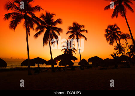 Coucher du soleil sur la plage des Caraïbes avec silhouette de palms Banque D'Images