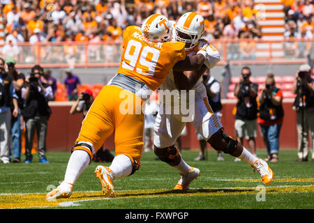 16 avril 2016 : Kahlil McKenzie # 99 Venzell Boulware # 50 batailles au cours de l'Université du Tennessee scrimmage intrasquad Orange et Blanc au Stade de Neyland à Knoxville, TN/CSM Gangloff Tim Banque D'Images