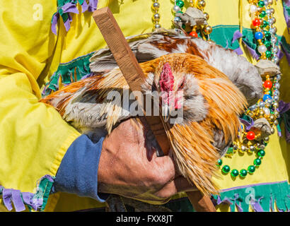 Rodney Victorian, poulet légende, est titulaire d'un de ses coqs prix pour le traditionnel poulet courir au cours de Lake Charles famille fr Banque D'Images