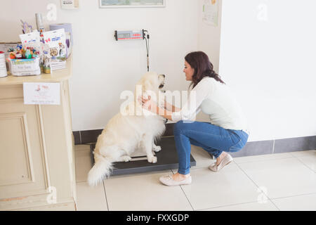 Femme pesant son chien sur une balance vétérinaire Banque D'Images