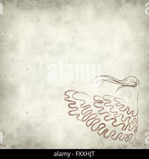 Vieux papier texturé avec fond illustration danseuse de flamenco Banque D'Images