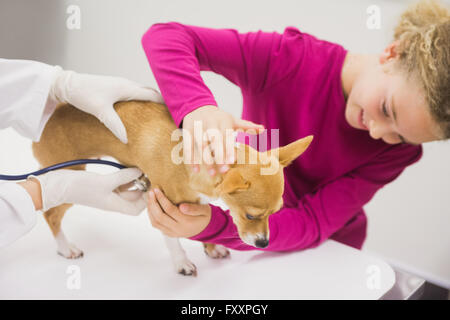 Girl petting son chien pendant l'examen de l'EFP Banque D'Images