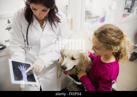 L'examen vétérinaire radiographie d'un chien Banque D'Images