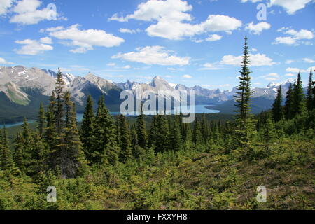 Vue sur le lac Maligne de collines Bald Trail, Jasper National Park, Alberta, Canada Banque D'Images