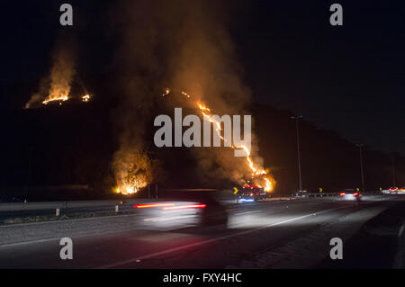 Le feu sur l'autoroute à côté des bois. Banque D'Images