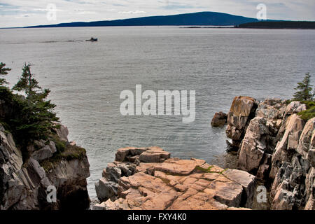 État du Maine, la péninsule de Schoodic, Parc National d'Acadia, pêcheur de homard de la Baie Frenchman chefs accueil sur les corbeaux, les falaises de nidification Banque D'Images