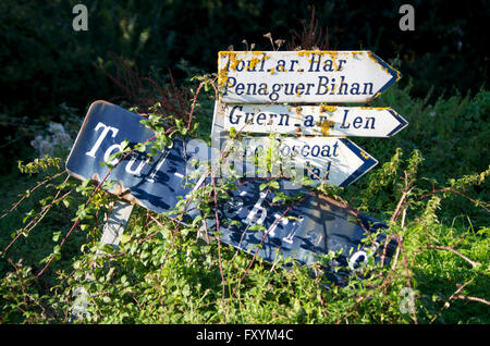 Envahis par les panneaux routiers Breton près de St Michel en greve, Cotes d'Armor Banque D'Images