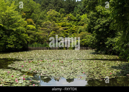 Étang, Kyoyochi Ryōan-ji, le Temple du Dragon en paix, Kyoto, Japon. Banque D'Images