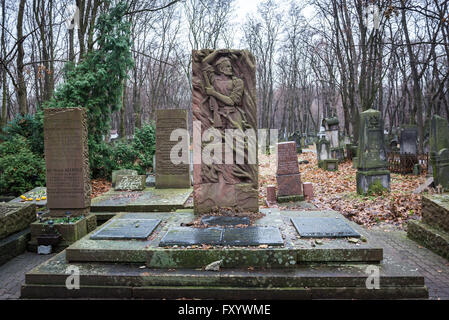 Monument du soulèvement du ghetto de Varsovie au cimetière juif de Varsovie - l'un des plus grands cimetières juifs de l'Europe, Varsovie, Pologne Banque D'Images