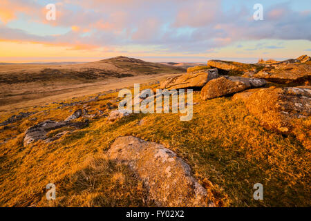 Lever du soleil sur les pentes d'une averse Tor sur Bodmin Moor Banque D'Images