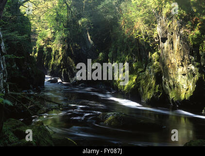 Fairy Glen Ffos Noddyn ravin sur rivière Conwy près de Betws-Y-Coed National de Snowdonia North Wales UK Banque D'Images