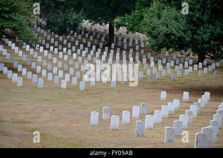 Avis de pierres tombales du haut d'une colline, le Cimetière National d'Arlington, Virginie, États-Unis Banque D'Images