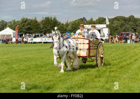 Lait et de chevaux lourds de la participation électorale panier peu de produits laitiers dans le ring au jeu du Lancashire et Country Fair 2015. Banque D'Images