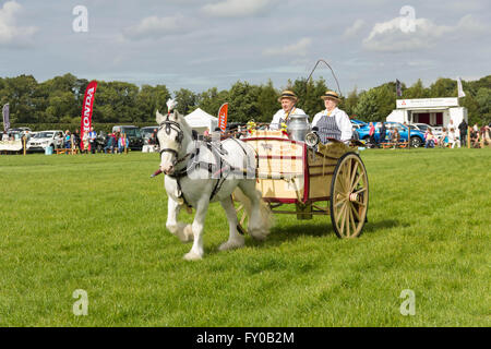 Lait et de chevaux lourds de la participation électorale panier peu de produits laitiers dans le ring au jeu du Lancashire et Country Fair 2015. Banque D'Images