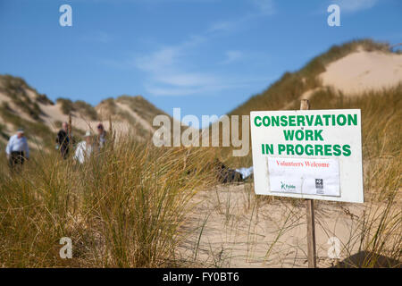 Activité de conservation et de réparation des dunes de sable « Work in Progress » organisée par la communauté bénévole avec le Wildlife Trust et le conseil municipal de Blackpool. Des balles de paille sont utilisées pour boucher les « trous de vent » sur les dunes de rivage afin d'aider à consolider et à prévenir l'érosion, empêchant ainsi le sable soufflé par le vent d'empiéter sur la route. Banque D'Images