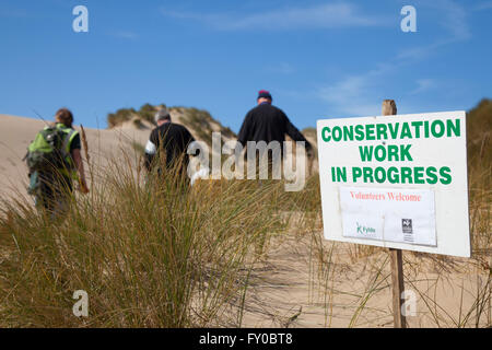 Activité de conservation et de réparation des dunes de sable « Work in Progress » organisée par la communauté bénévole avec le Wildlife Trust et le conseil municipal de Blackpool. Des balles de paille sont utilisées pour boucher les « trous de vent » sur les dunes de rivage afin d'aider à consolider et à prévenir l'érosion, empêchant ainsi le sable soufflé par le vent d'empiéter sur la route. Banque D'Images