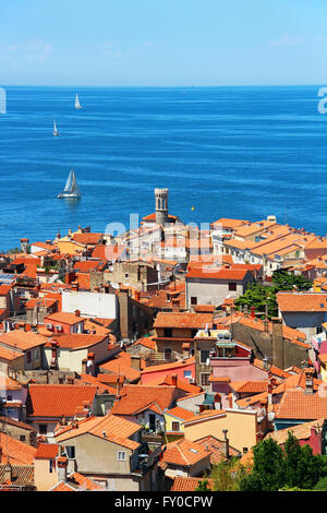 Oiseau de la belle vieille ville de Piran, Slovénie et la mer Adriatique Banque D'Images