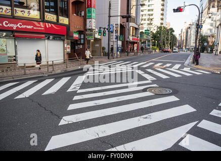 Passage pour piétons dans le quartier d'Akasaka à Minato ward spécial, la ville de Tokyo, Japon Banque D'Images