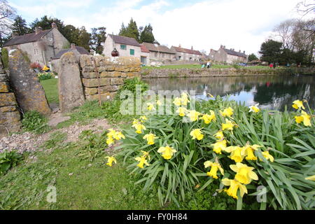 Un stile squeeze dans un mur en pierre sèche par l'étang du village en village Tissington, parc national de Peak District Derbyshire UK-printemps Banque D'Images