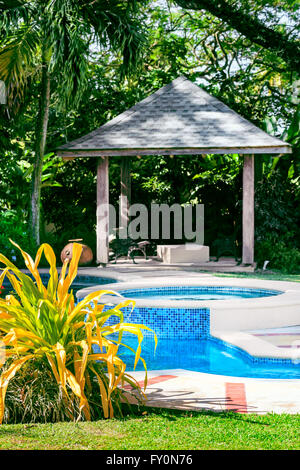 À l'extérieur piscine avec gazebo et jardin tropical Banque D'Images