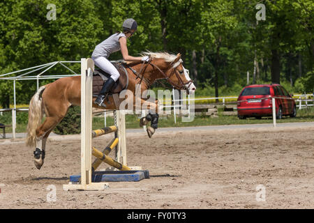 Cavalière de compétition équestre de saut Banque D'Images
