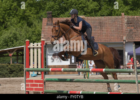 Vue latérale du jeune cavalière en noir c'est un saut à cheval brun concours équestres Banque D'Images