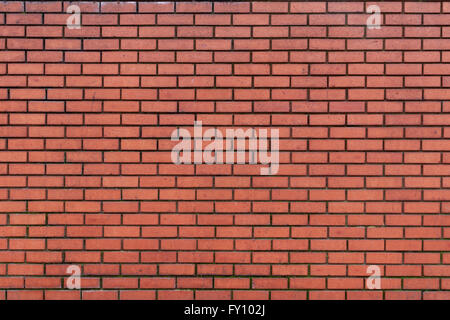 Contexte d'un mur de brique rouge foncé patiné avec coulis Banque D'Images