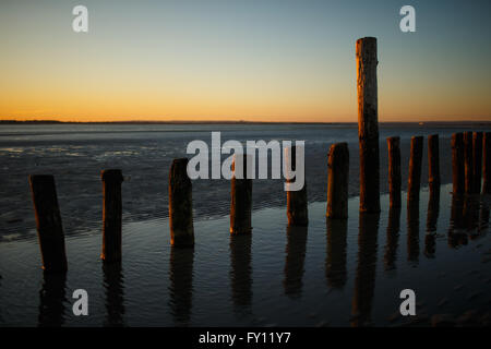 Bois épis sur une plage au coucher du soleil à West Wittering, Royaume-Uni Banque D'Images