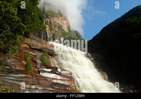 La base du Salto Angel - Venezuela Banque D'Images