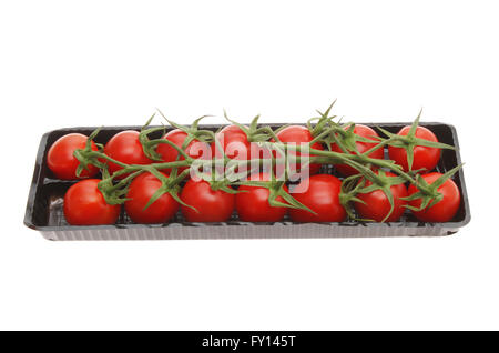 Tomates mûries sur vigne dans un carton blanc en plastique isolé contre Banque D'Images