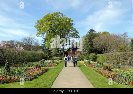 Wisley, Surrey, Angleterre, Royaume-Uni. 20 avril 2016. Météo France : c'était un jour de ciel bleu et soleil comme visiteurs apprécié un flâner dans les jardins à Wisley, Surrey. Credit : Julia Gavin UK/Alamy Live News Banque D'Images