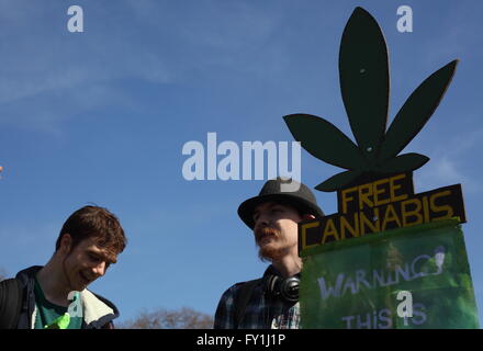 20/06/2016 London Hyde Park Pro Rallye Legaslastion Cannabis Banque D'Images