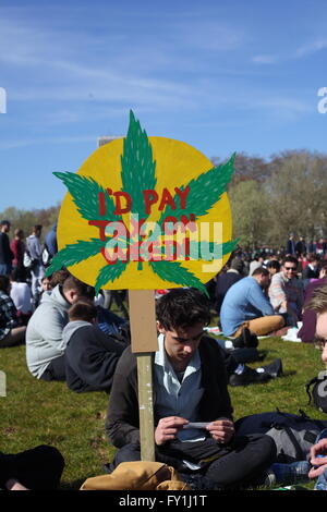 20/06/2016 London Hyde Park Pro Rallye Legaslastion Cannabis Banque D'Images