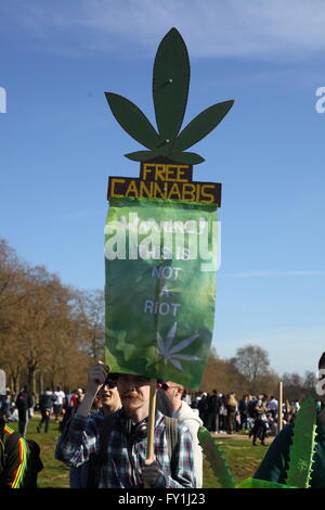 20/06/2016 London Hyde Park Pro Rallye Legaslastion Cannabis Banque D'Images