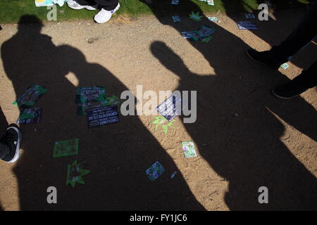 20/06/2016 London Hyde Park Pro Rallye Legaslastion Cannabis Banque D'Images