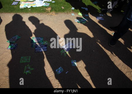 20/06/2016 London Hyde Park Pro Rallye Legaslastion Cannabis Banque D'Images