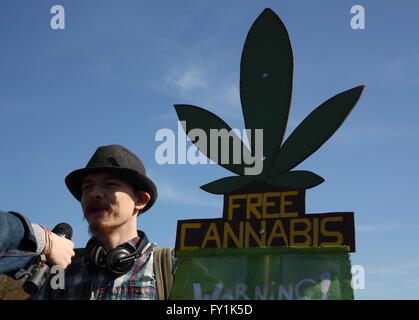 20/06/2016 London Hyde Park Pro Rallye Legaslastion Cannabis Banque D'Images