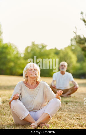 Senior couple faisant un exercice de yoga dans le parc en été Banque D'Images