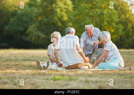 Groupe d'amis de personnes âgées faisant un pique-nique dans le parc en été Banque D'Images