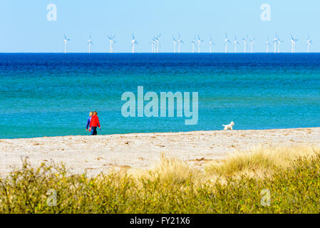 Skanor, Suède - 11 Avril 2016 : deux femmes autour d'un petit et très mignon chien sur la plage de sable avec la mer ouverte et éoliennes ou w Banque D'Images