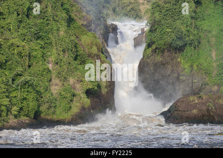 Murchinson Falls, Murchinson Falls National Park, de l'Ouganda Banque D'Images