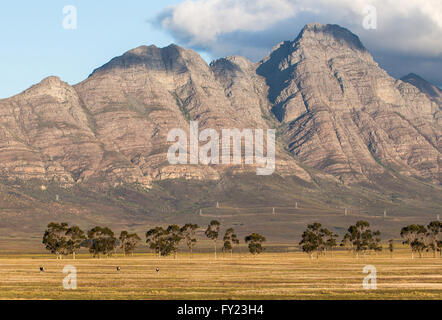 Les montagnes magnifiques border Elandsberg ferme, Bo Herman, Afrique du Sud. Banque D'Images