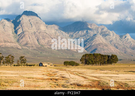 Les montagnes magnifiques border Elandsberg ferme, Bo Herman, Afrique du Sud. Banque D'Images