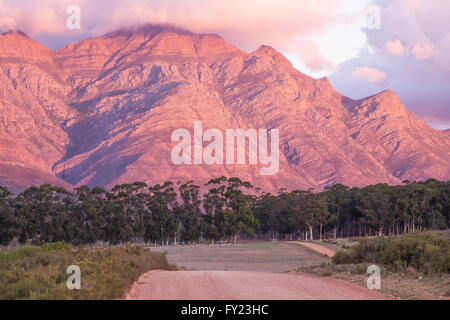 Les montagnes magnifiques border Elandsberg ferme, Bo Herman, Afrique du Sud. Banque D'Images